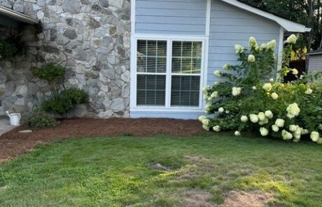 licensed general contractor